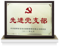 先进党支部